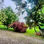 Casale Sambuceto B&B