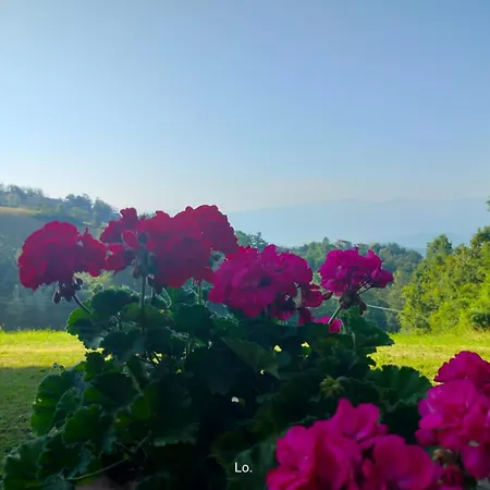 Casale Sambuceto Compiano