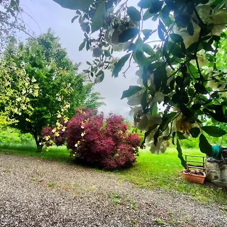 Casale Sambuceto Bed & Breakfast