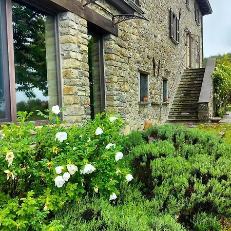 Bed & Breakfast Casale Sambuceto *