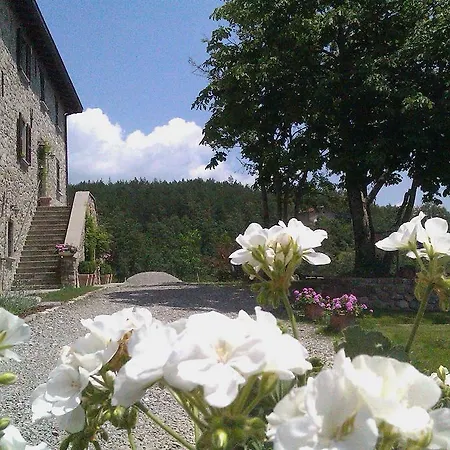 Bed & Breakfast Casale Sambuceto